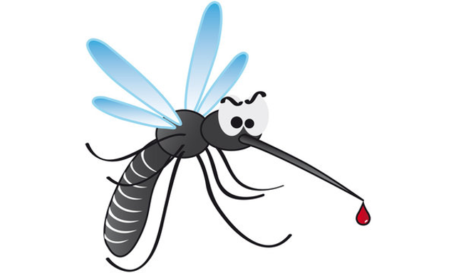 Ordinanza per la prevenzione ed il controllo delle malattie trasmesse da insetti vettori