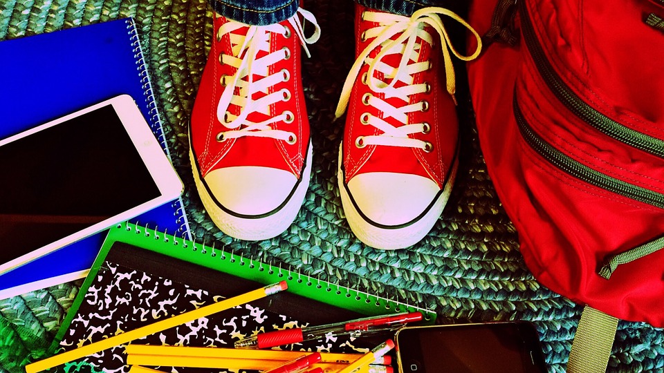 Dote Scuola 2019/2020 - Componente "Merito" e “Sostegno agli studenti disabili”