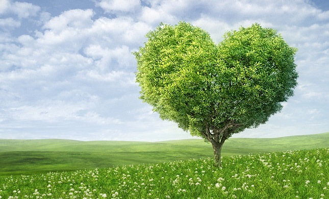 Avviso di selezione pubblica per incarico di collaborazione per Laboratorio di Botanica "Invasioni Botaniche" 