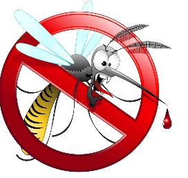 Ordinanza per la prevenzione ed il controllo delle malattie trasmesse da insetti vettori ed  in particolare dalla zanzara tigre (Aedes albopictus), Chikun